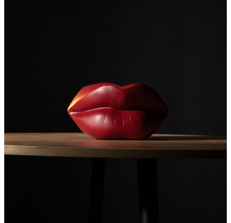 Органайзер "Lips" S — Стигла вишня